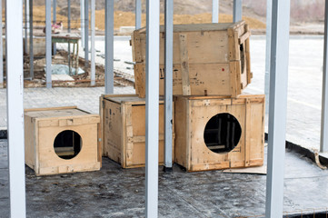 construction of a shelter for dogs