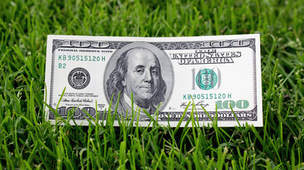 American dollars in the grass