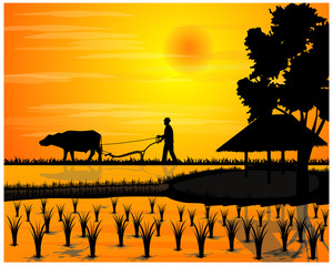 silhouette farmer plow in paddy field vector design