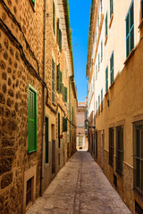 Fototapeta na wymiar Mallorca Landscapes - classic Collection