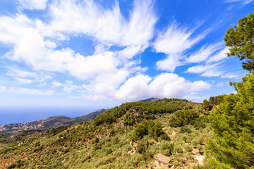 Obraz premium Mallorca Landscapes - classic Collection