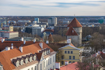Fototapeta premium Beautiful view of old city Tallinn Estonia