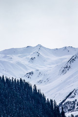 Snowcapped mountain in kasol, himachal pradesh ,India 