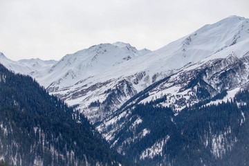 Snowcapped Himalayas 
