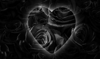  black roses with heart. love you.