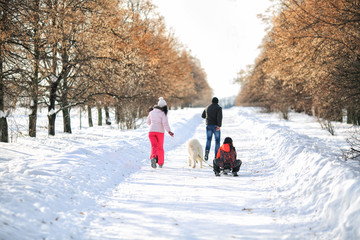 Winter family walk in the park. Mom, dad, baby and dog playing in the snow