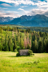Wooden cottage on green valley, Tatra mountains at sunset