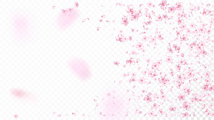 Nice Sakura Blossom Isolated Vector. Magic Blowing 3d Petals Wedding Texture. Japanese Nature Flowers Wallpaper. Valentine, Mother's Day Tender Nice Sakura Blossom Isolated on White