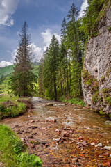 Fototapeta na wymiar Small stream in Koscieliska valley in Tatra Mountains, Europe