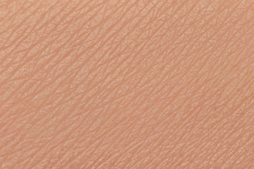 human skin texture macro