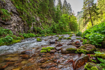 Stream and rocks in Koscieliska valley in summer, Poland