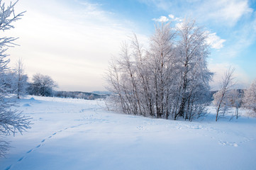 beautiful winter landscapes in the valleys