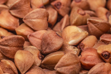 buckwheat groats macro as background