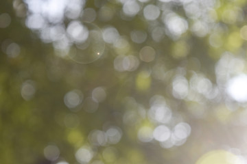Abstract bokeh nature background.