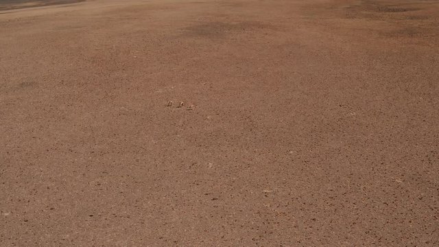 Aerial, Vista del Llullaillaco, Salar de Arizaro, Argentina - cine version