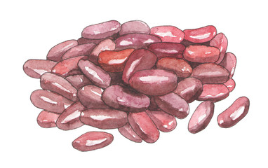 Beans