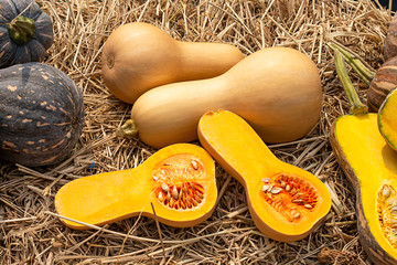 Pumpkin is cut into pieces on the straw.