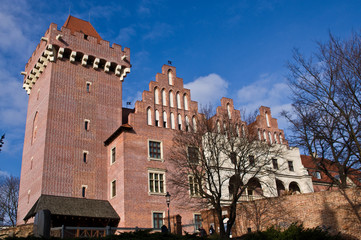 Poznan, Poland, the Royal Castle © AHatmaker
