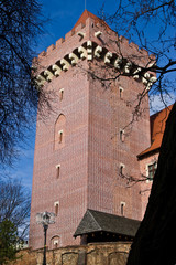 Poznan, Poland, the Royal Castle © AHatmaker