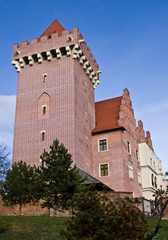 Poznan, Poland, the Royal Castle