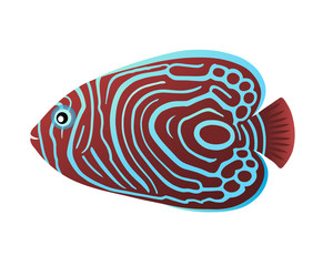 imperial fish