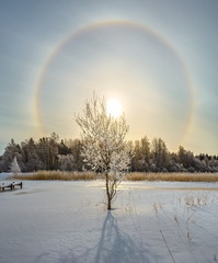 Solar halo. Frosty day, heavenly rainbow. Winter phenomenon.