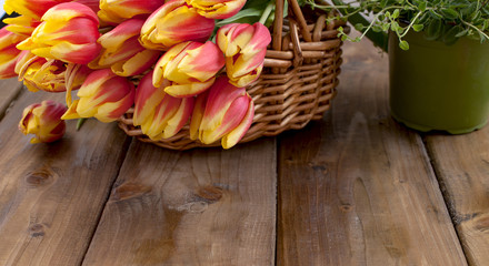 Bouquet of tulips in a basket on a wooden background. A surprise gift to celebrate women's holiday. Concept March 8 and Mother's Day. Place for text.