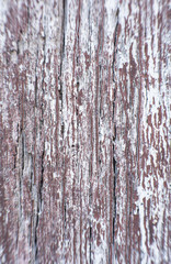 Obraz premium Old wood texture background