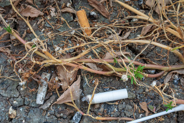 garbage in the forest
