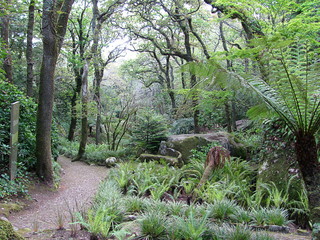 Sintra garden near the famous Pena palace in Sintra, Portugal