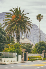 Road and palm trees and mountains in the background in Hermanus, South Africa