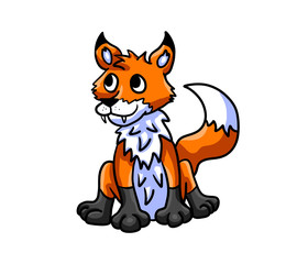 Funny Curious Fox
