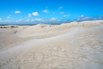 Fototapeta na wymiar white lancelin sand dunes, western australia 10