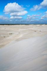 white lancelin sand dunes, western australia 13