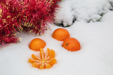 Lying Mandarin. Fruit in the snow. Cold winter. White snow