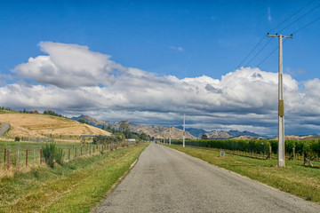 Empty rural road through vineyards