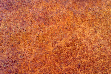 Casting epoxy resin Stabilizing Afzelia burl exotic wood