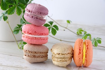 マカロン　スィーツ　デザート