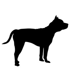 Shepherd dog silhouette on a white background