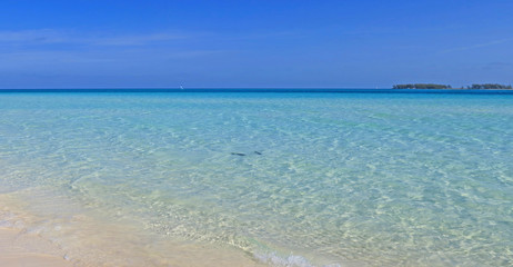 Playa Pilar et grand bleu de Cuba