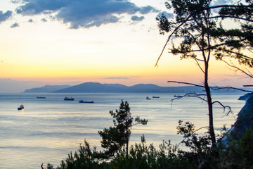 the ships are on the road near the port of Novorossiysk, the Black sea. Photo taken from the steep Bank at sunset through the thickets of Pitsunda pine.