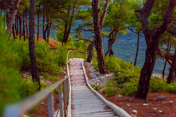 The resort of Gelendzhik, a staircase leads to the sea with steep Bank through the woods Pitsunda pines