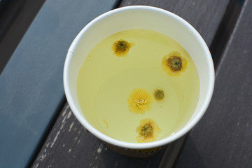 Tea with real small yellow chrysanthemum flowers floating in the hot water. Taken from the side, in Seoul, Korea.