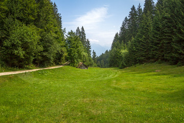 Fototapeta na wymiar Slovenia, Natura e Panorami
