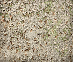 Old rusty metal surface with gray and green paint flaking and cracking texture