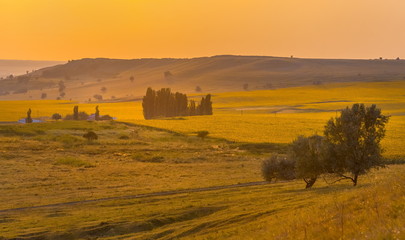 Obraz premium Orange sunset with yellow sunflower fields. Summer sunset. Agricultural landscape.