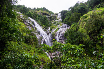 Fototapeta na wymiar Waterfall pitolorsu umphang,Thailand.