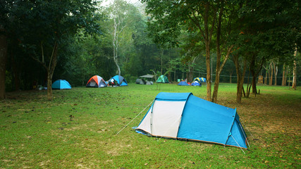 nature landscape blue camping tent with tree on green grass meadow in jungle or forest for trekking picnic on holiday relax and vacation travel on autumn winter or summer with fog at Ban Krang Camp
