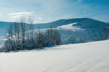 Breathtaking winter mountain landscape with snow field, forests in the distant backdrop. Picturesque and peaceful wintry scene European resort location. Sunny day