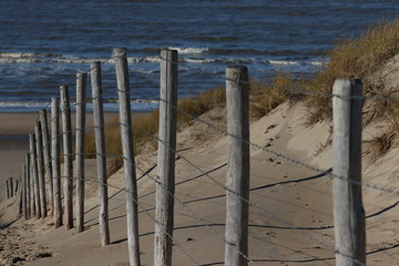 D&uuml;nen in der N&auml;he von Noordwijk
